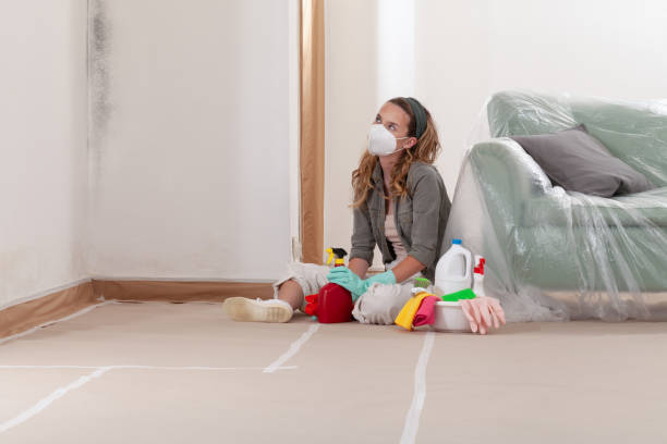 Reliable Black Mold Removal contractor in Windsor, PA by WQB Mold Removal